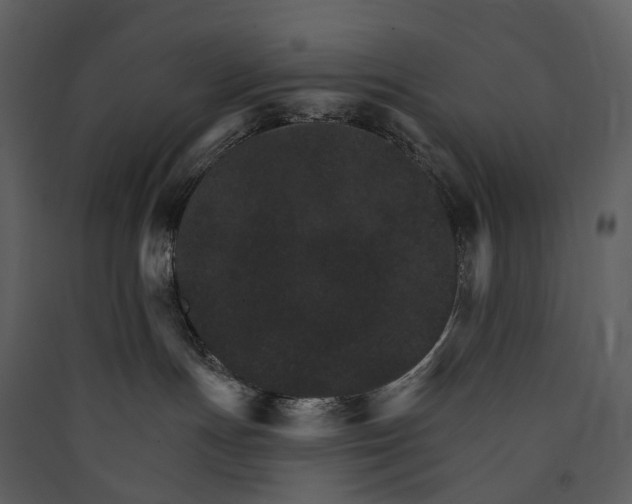 X0000089940191200707131502