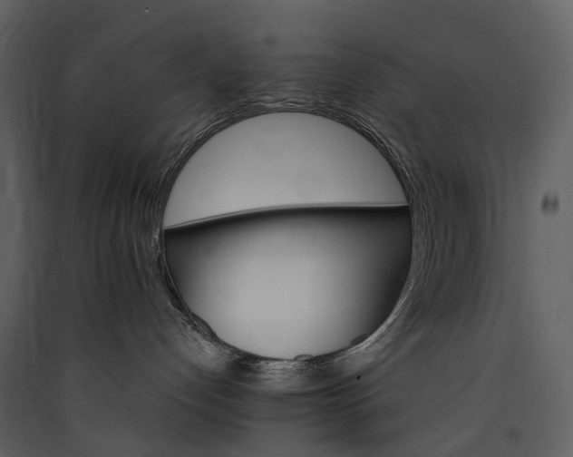 X0000089940192200707131502