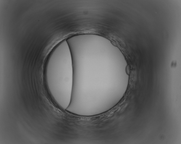 X0000089940194200707131501