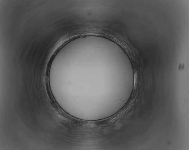 X0000089940195200707131501