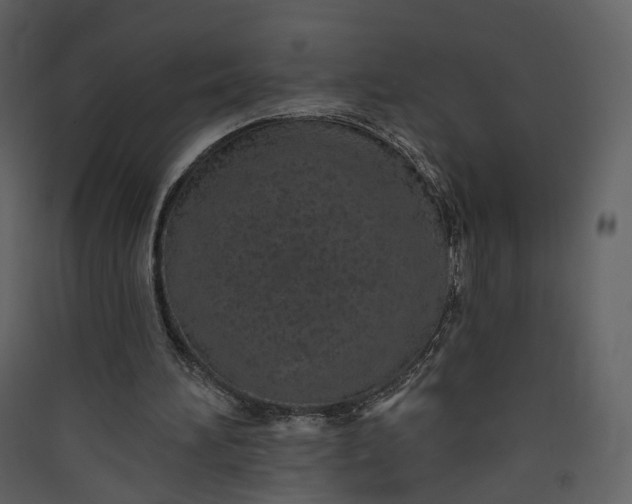 X0000089940196200707131501