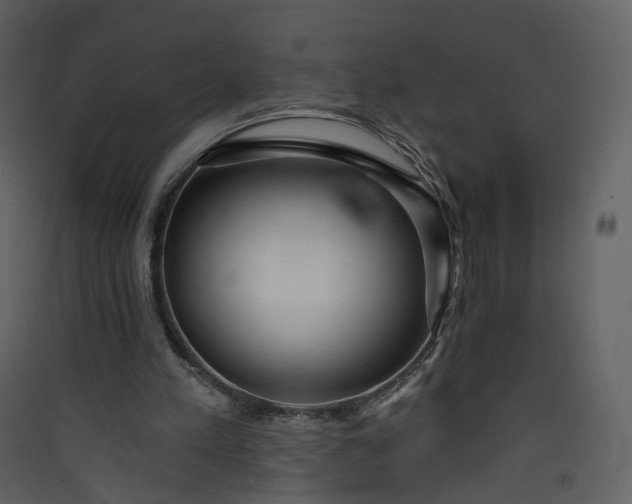 X0000089940197200707131501