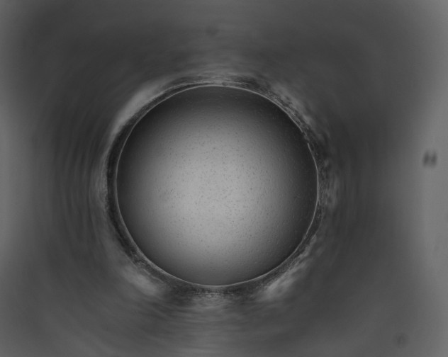 X0000089940198200707131501