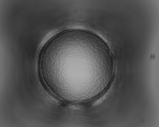 X0000089940199200707131501