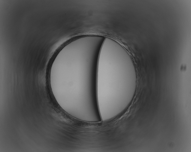 X0000089940200200707131501