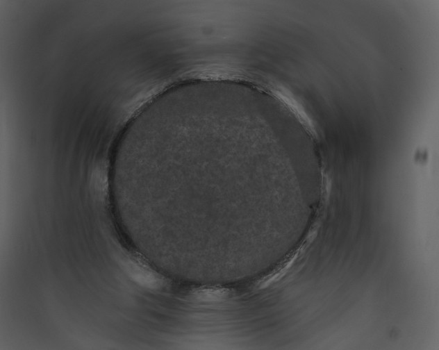 X0000089940202200707131501