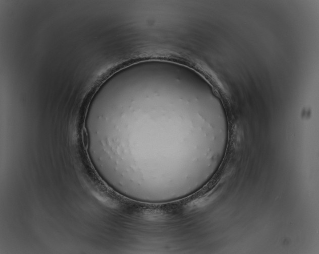 X0000089940203200707131501