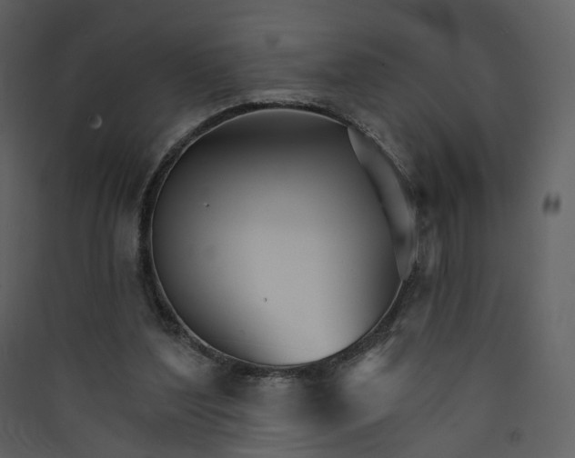 X0000089940204200707131501