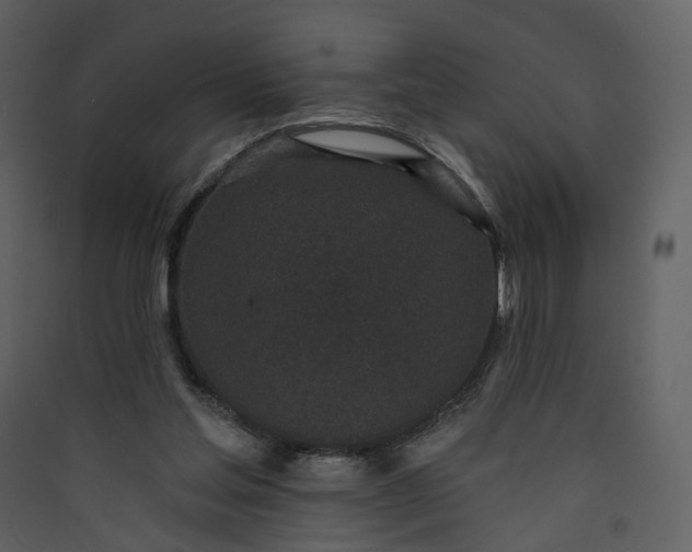 X0000089940205200707131501