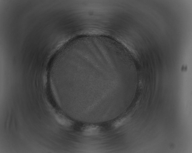 X0000089940206200707131501