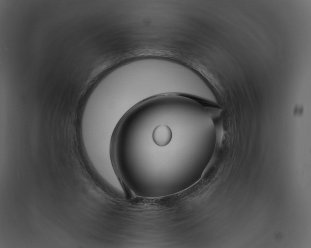 X0000089940207200707131501