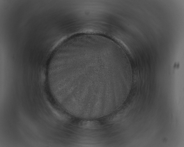 X0000089940208200707131501