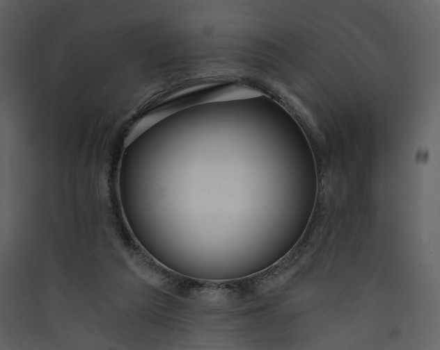 X0000089940209200707131501