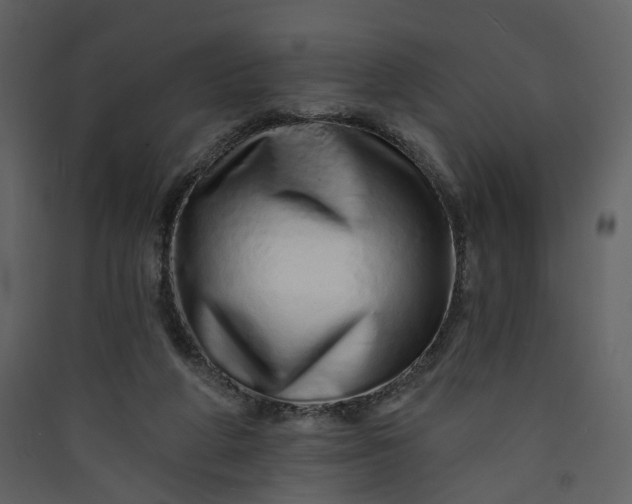 X0000089940210200707131501