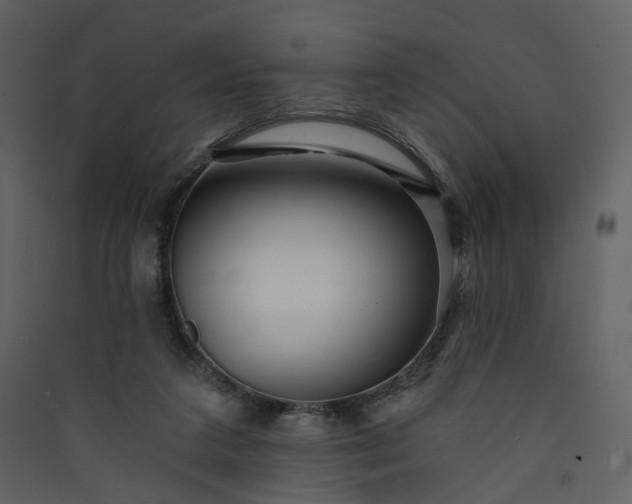 X0000089940211200707131501