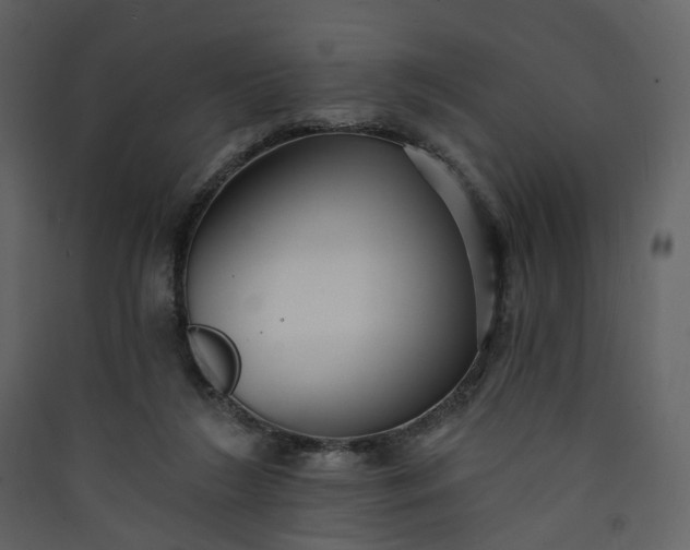 X0000089940212200707131501