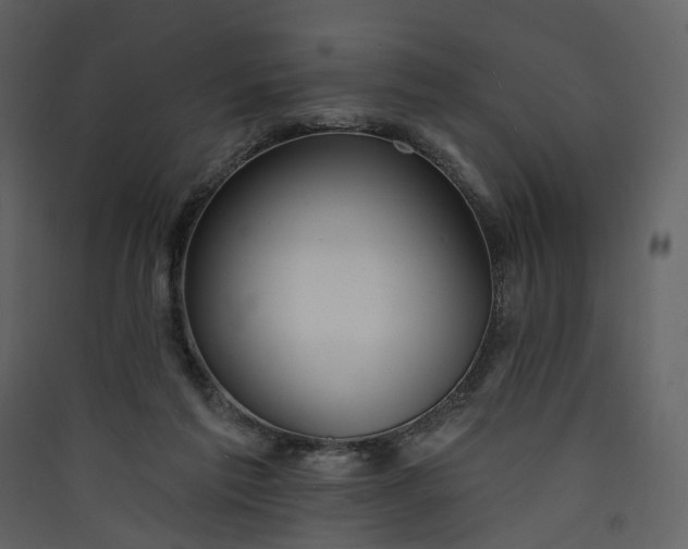 X0000089940213200707131501