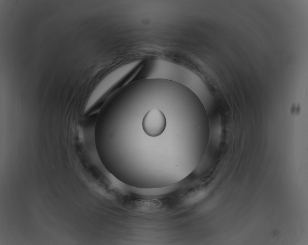 X0000089940215200707131501