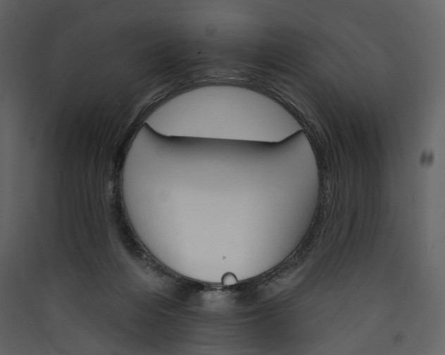 X0000089940216200707131501