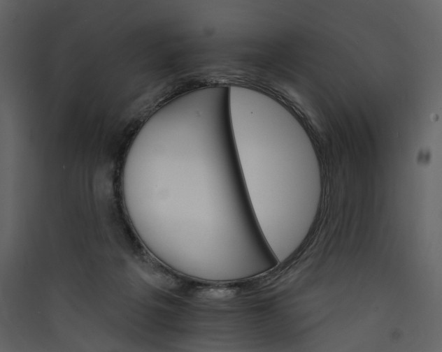 X0000089940217200707131501