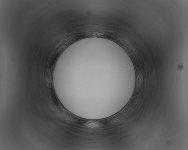 X0000089940218200707131501