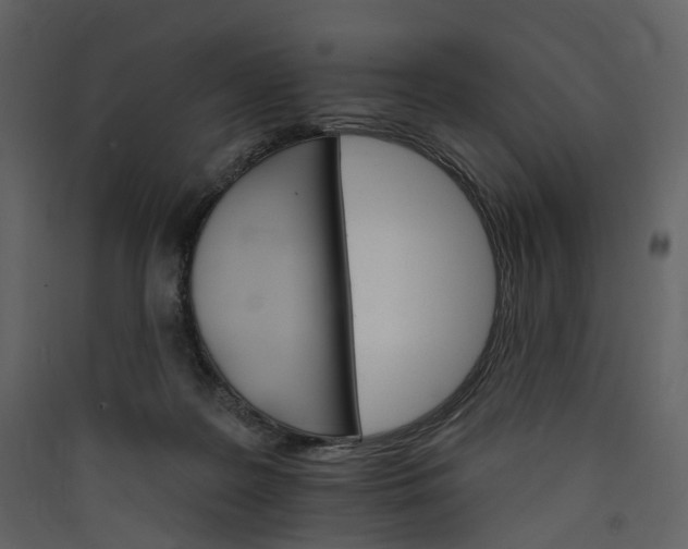 X0000089940219200707131501