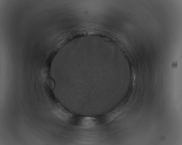 X0000089940222200707131501