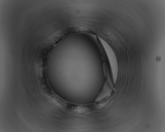 X0000089940223200707131501