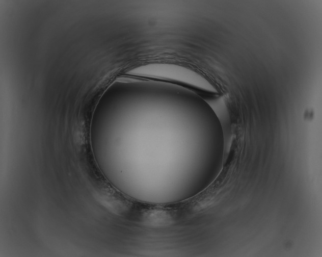 X0000089940224200707131501