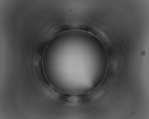 X0000089940225200707131501