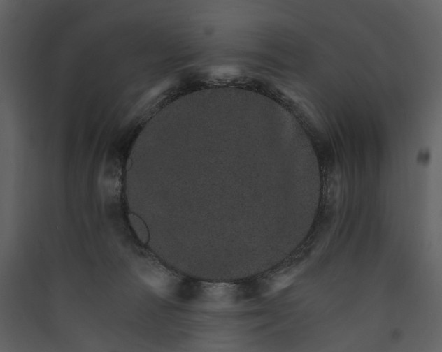 X0000089940226200707131501