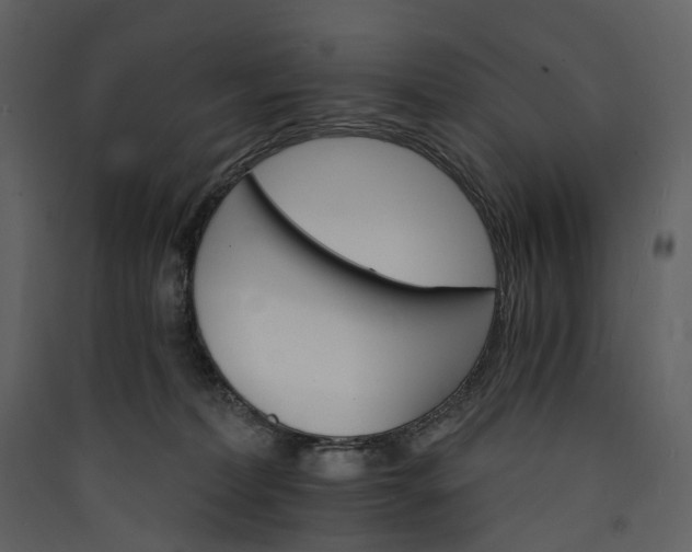 X0000089940228200707131501