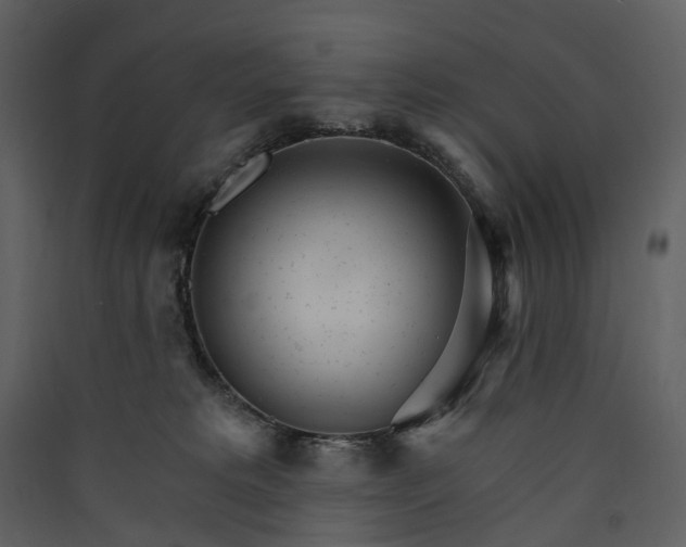 X0000089940229200707131501