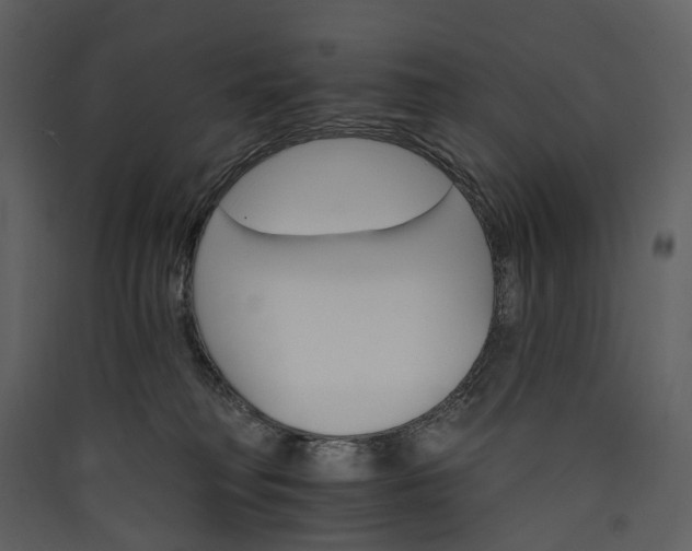 X0000089940230200707131501