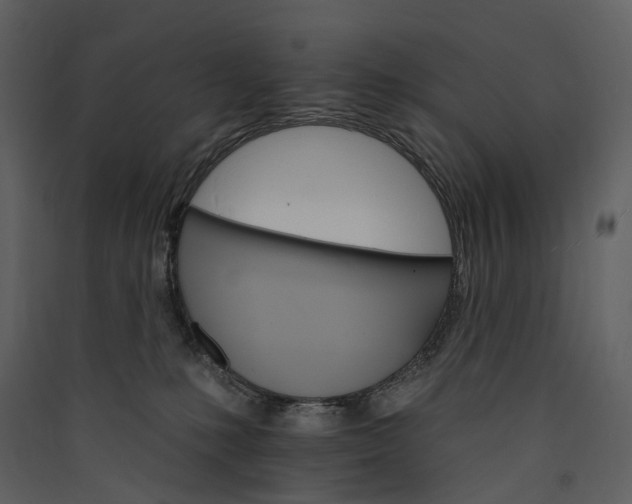 X0000089940231200707131501