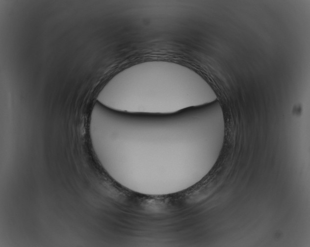 X0000089940232200707131501