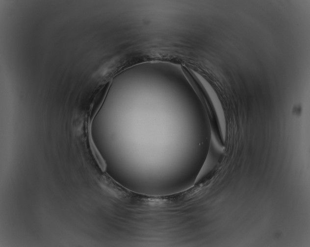 X0000089940233200707131501