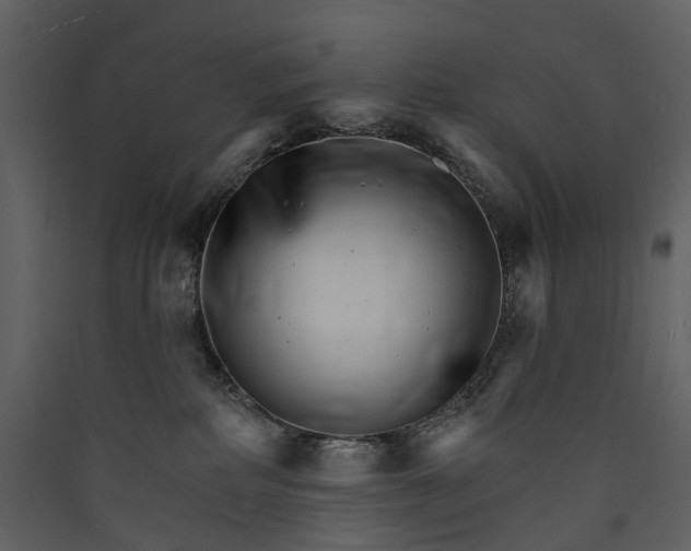 X0000089940234200707131501