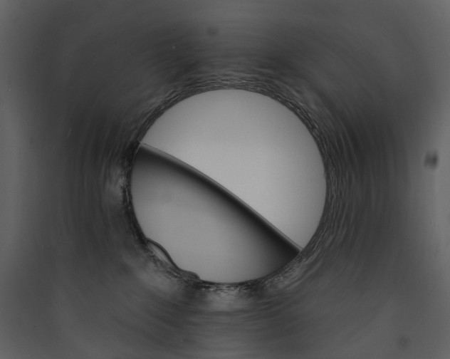 X0000089940235200707131501