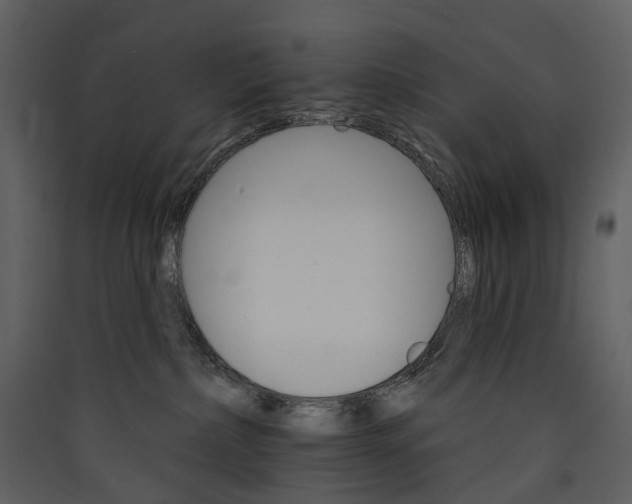 X0000089940236200707131501