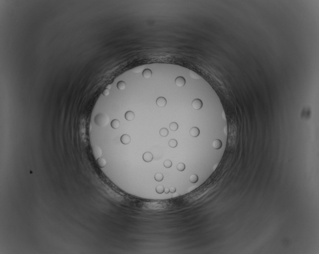 X0000089940238200707131500