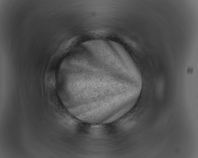 X0000089940240200707131500