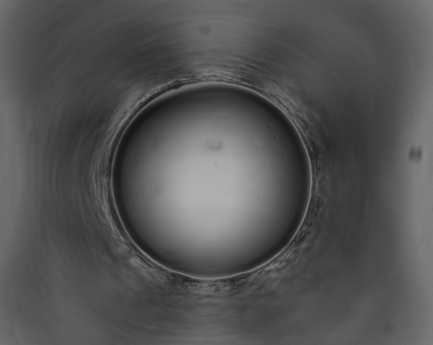 X0000089940241200707131500