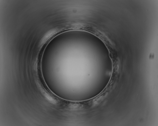 X0000089940242200707131500