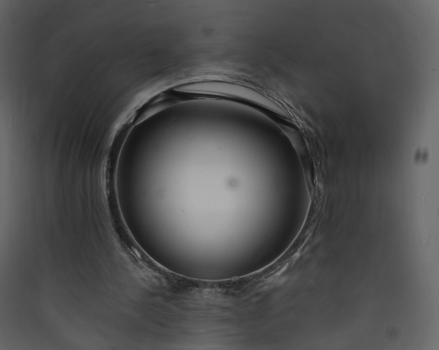 X0000089940244200707131500