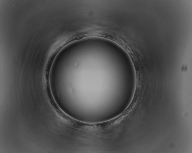 X0000089940245200707131500