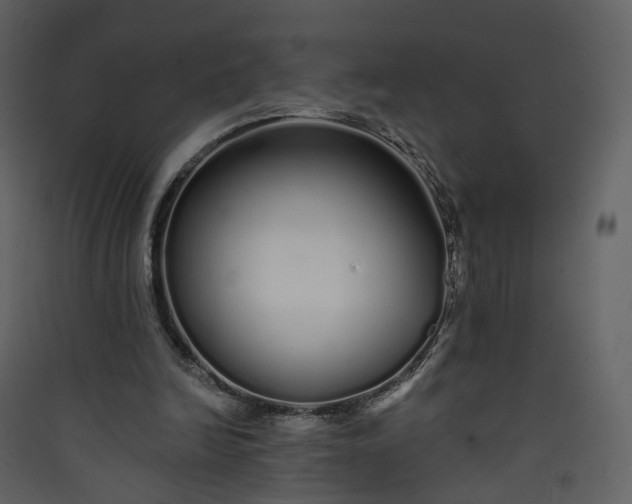 X0000089940246200707131500