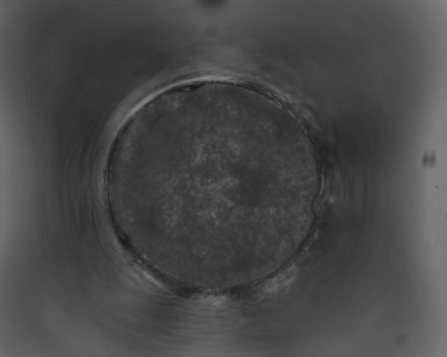 X0000089940247200707131500