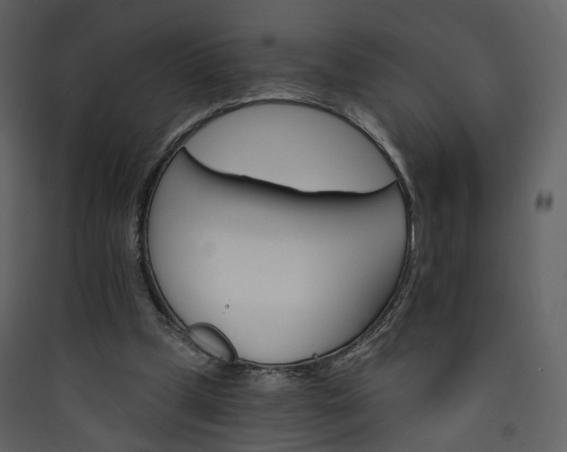 X0000089940249200707131500