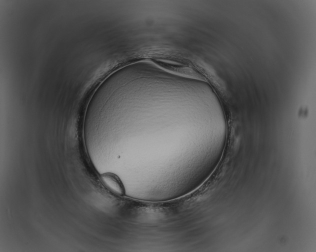 X0000089940250200707131500